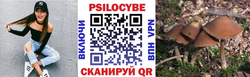 Купить где  Нерчинск  Псилоцибиновые грибы мухоморы 